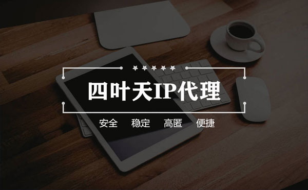 【海安代理IP】如何快速搭建代理IP？怎么检查代理的效果？